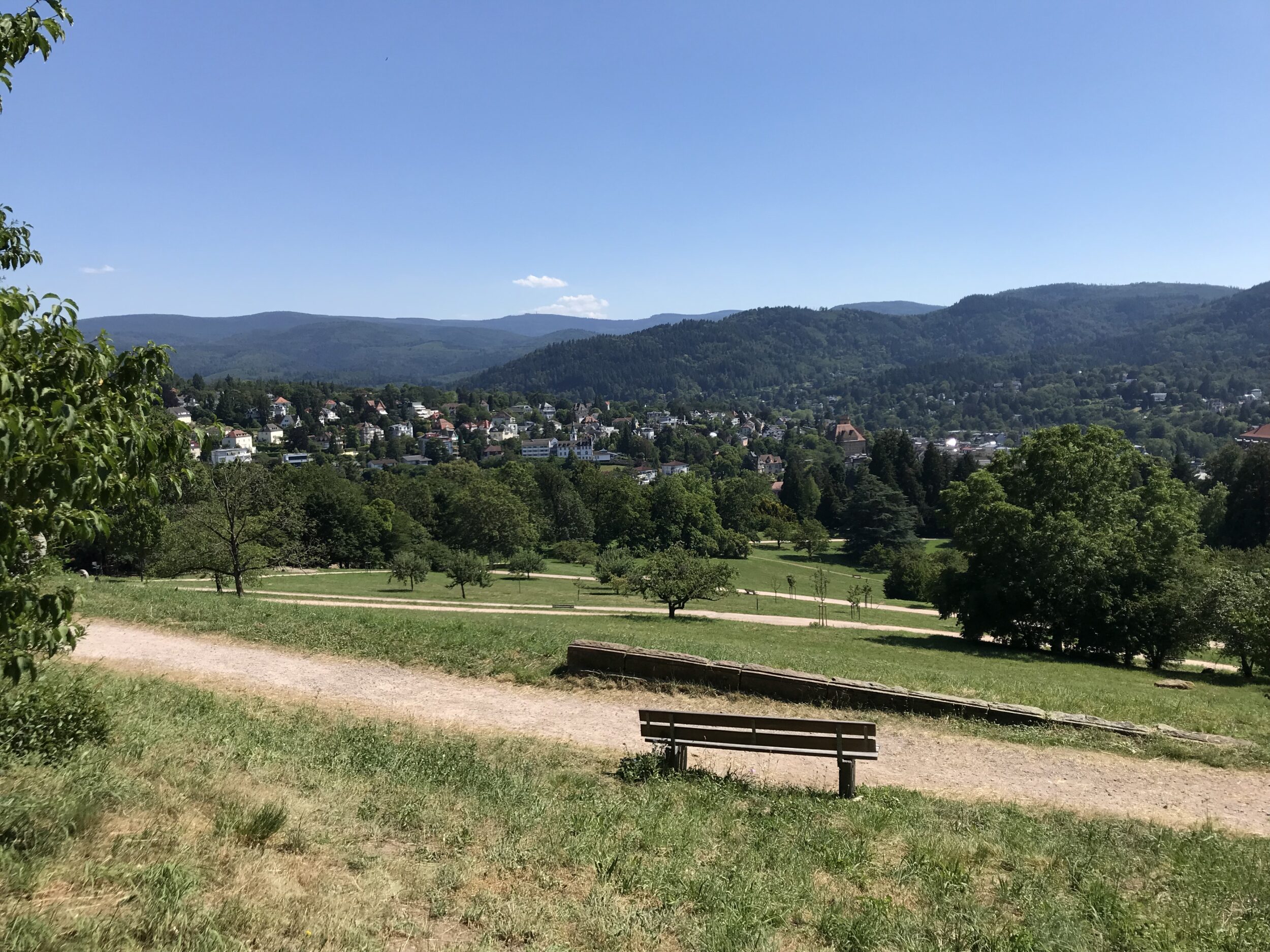 SEO Baden-Baden