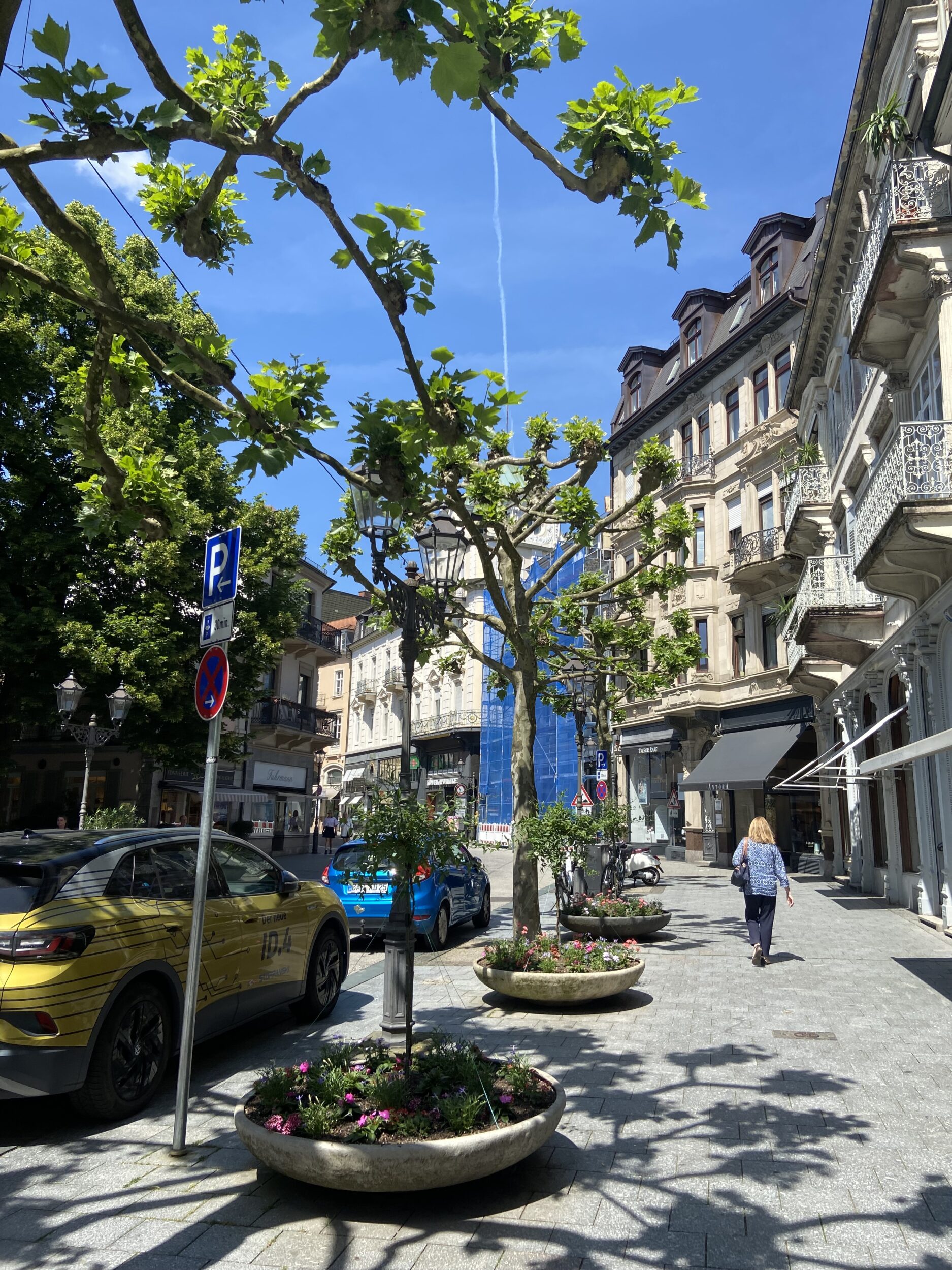 WordPress Website Baden-Baden