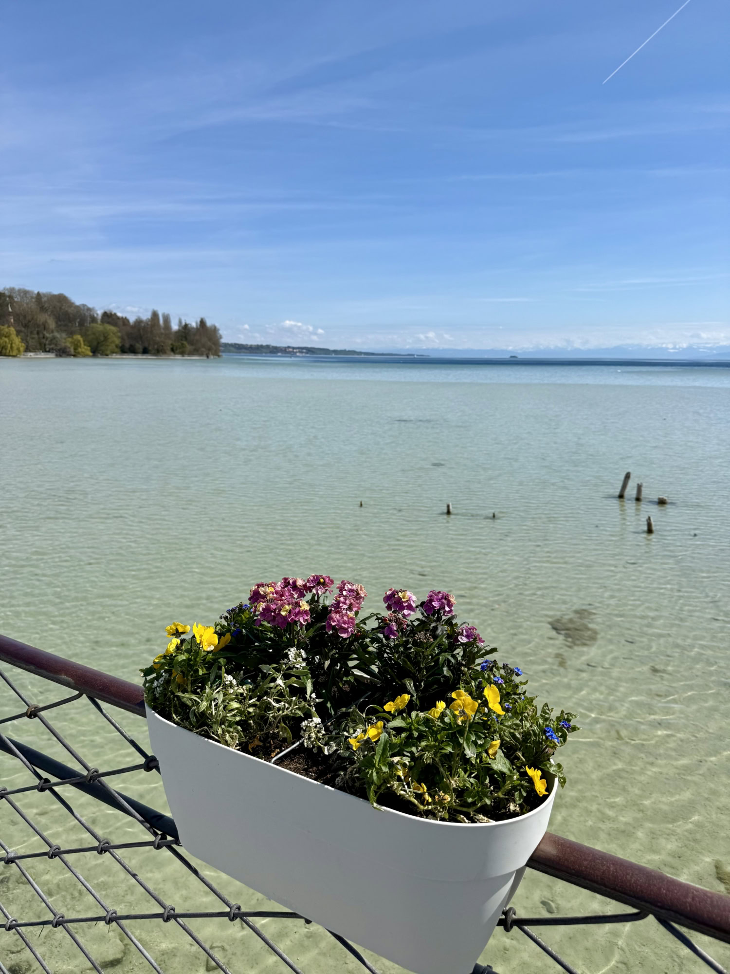 Klares, modernes Webdesign am Bodensee für Konstanzer Firmen, die Wert auf Ästhetik und technische Präzision legen.